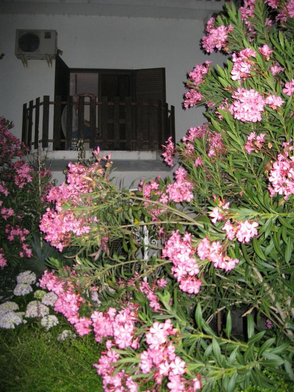 Casa Morgado Ξενοδοχείο Almeida Εξωτερικό φωτογραφία