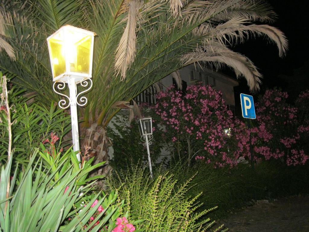 Casa Morgado Ξενοδοχείο Almeida Εξωτερικό φωτογραφία