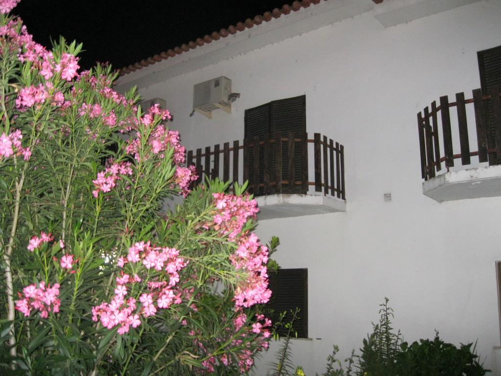 Casa Morgado Ξενοδοχείο Almeida Εξωτερικό φωτογραφία
